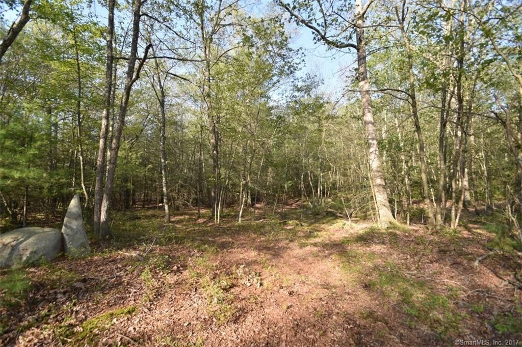 Thompson St, Glastonbury, CT 06033 Trulia