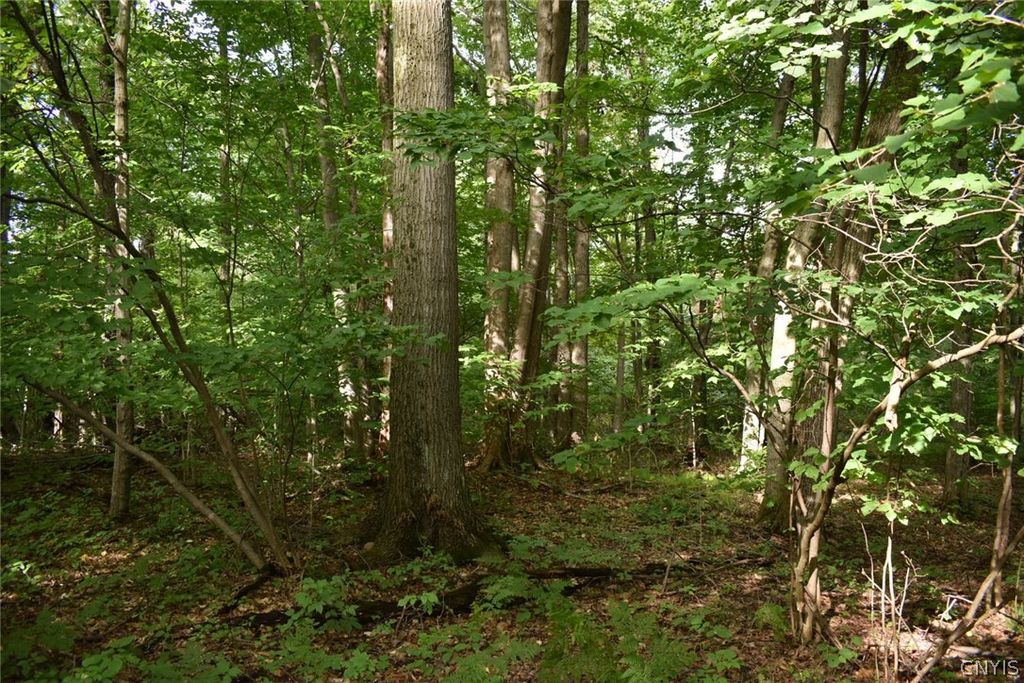 Homyk Rd, Herkimer, NY 13350 Trulia