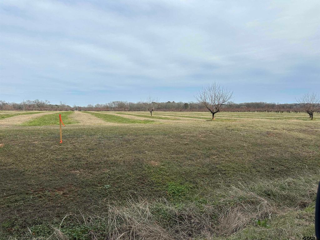 2 County Road 4230, Pittsburg, TX 75686 MLS 24004248 Trulia