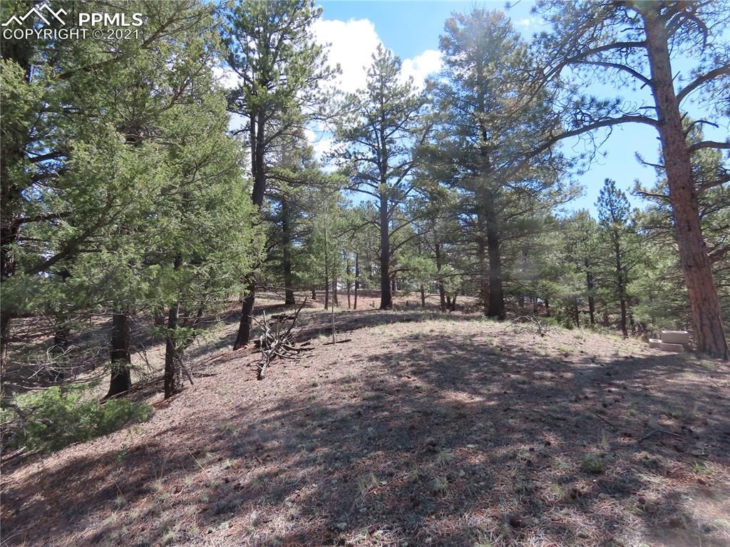 105 Pathfinder Rd, Florissant, CO 80816 Trulia