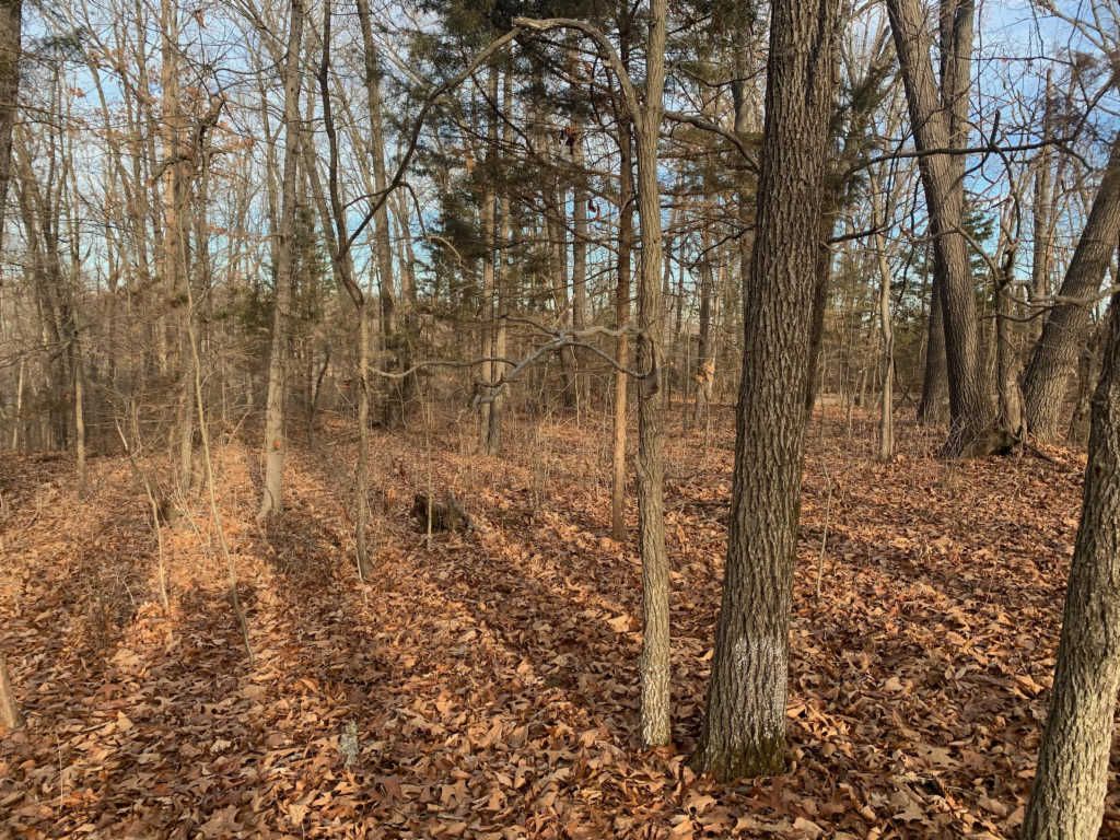 N Iron Mountain Rd, Fordland, MO 65652 Trulia