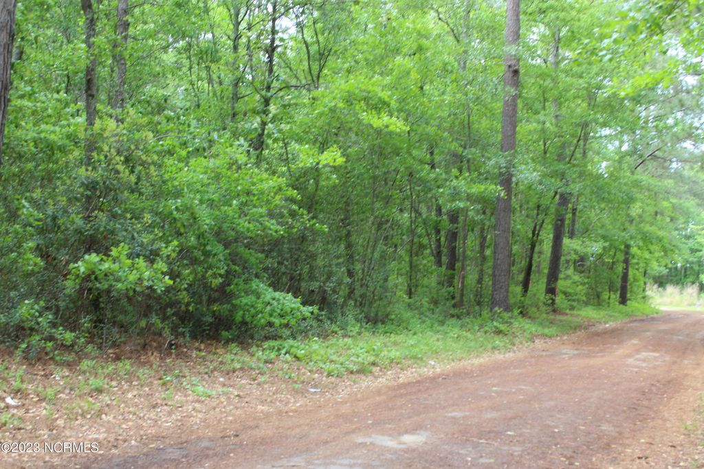 0 Walter Drive, Bladenboro, NC 28320 Trulia