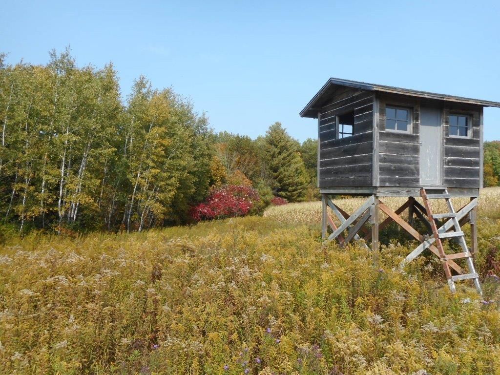 244 7th St, Prairie Farm, WI 4 Bed, 2 Bath SingleFamily Home 48 Photos Trulia