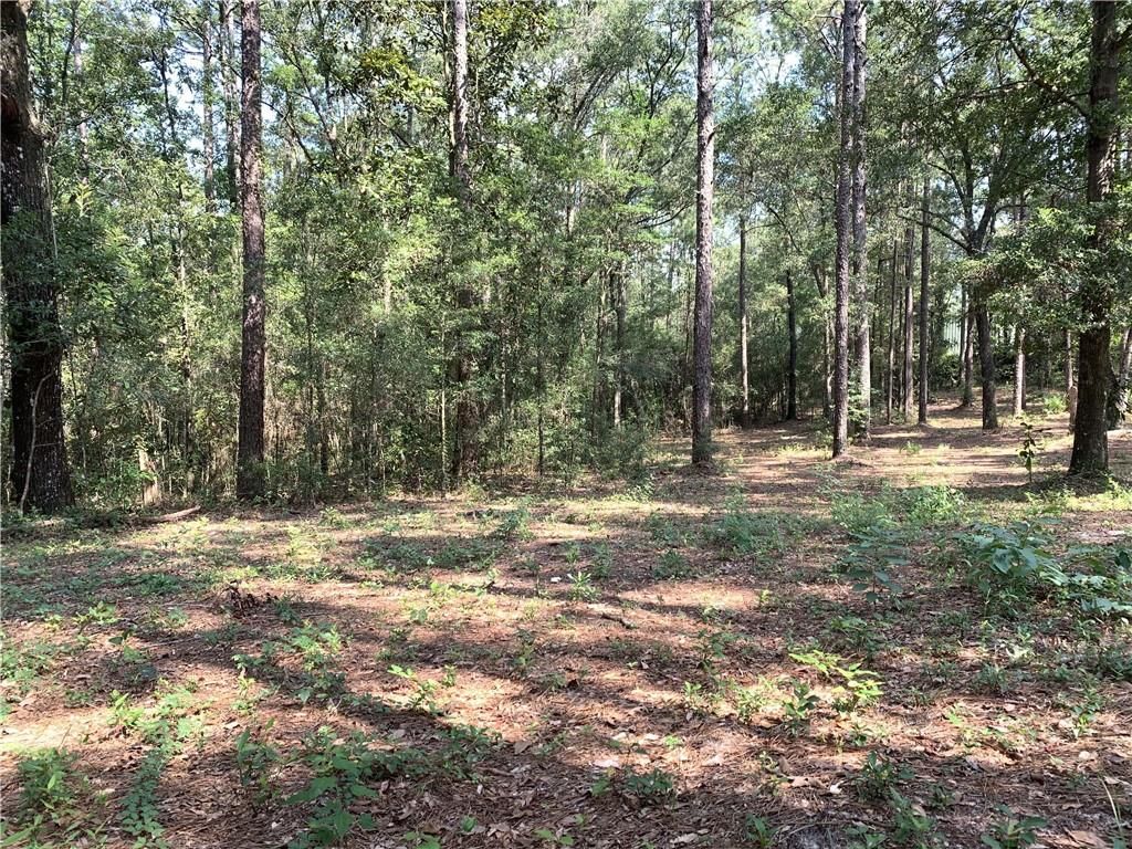Leroy Stevens Rd, Mobile, AL 36619 MLS 0655446 Trulia