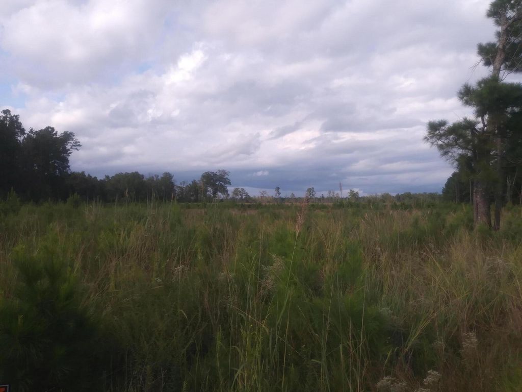 Cedar Swamp Rd, Kingstree, SC 29556 Trulia