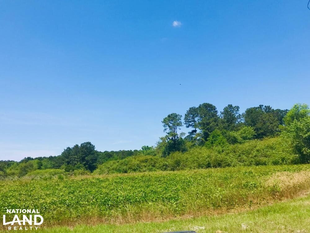 W Oglethorpe St, Ellaville, GA 31806 Trulia