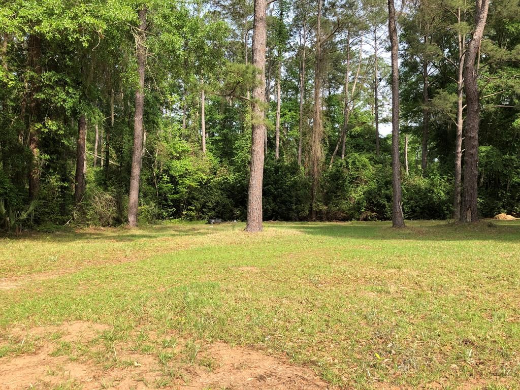 Cork Ferry Rd, Cordele, GA 31015 Trulia