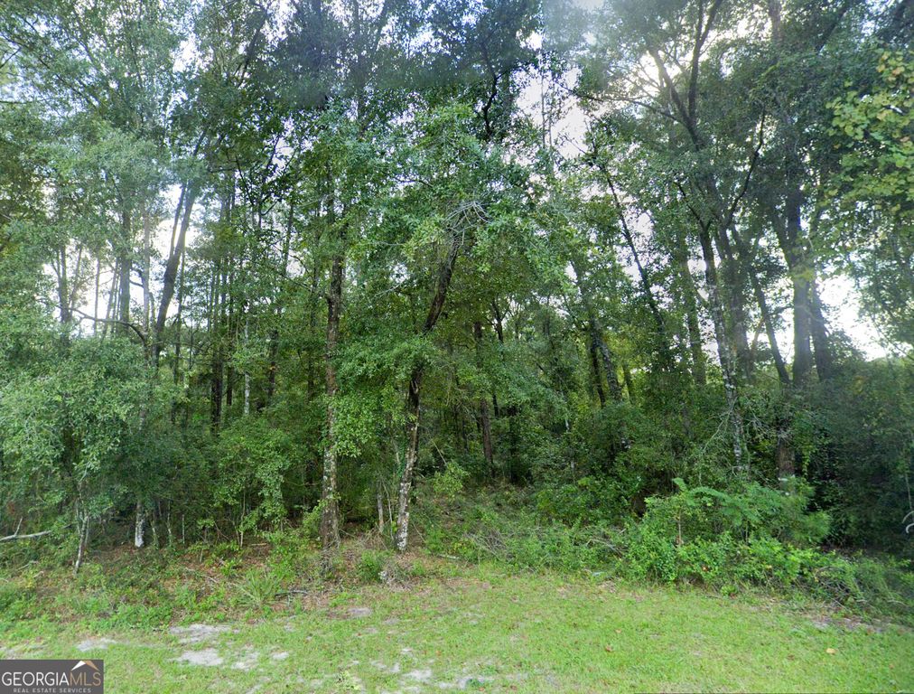 Dakota Ct S, Jesup, GA 31545 Trulia