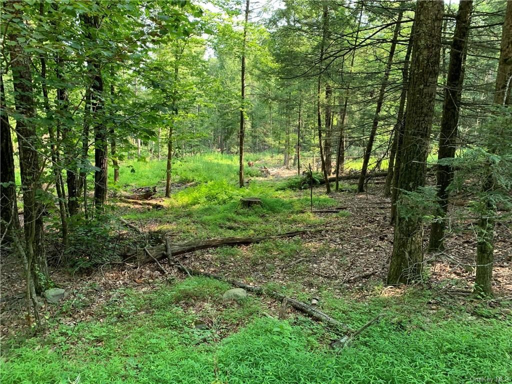 Lot 3 TBD Cherry Hill, Stone Ridge, NY 12484 Trulia