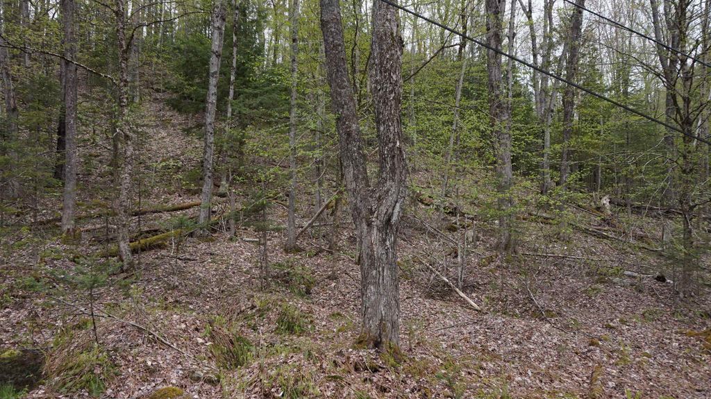 00 Belknap Drive UNIT 287, Woodsville, NH 03785 MLS 4998447 Trulia