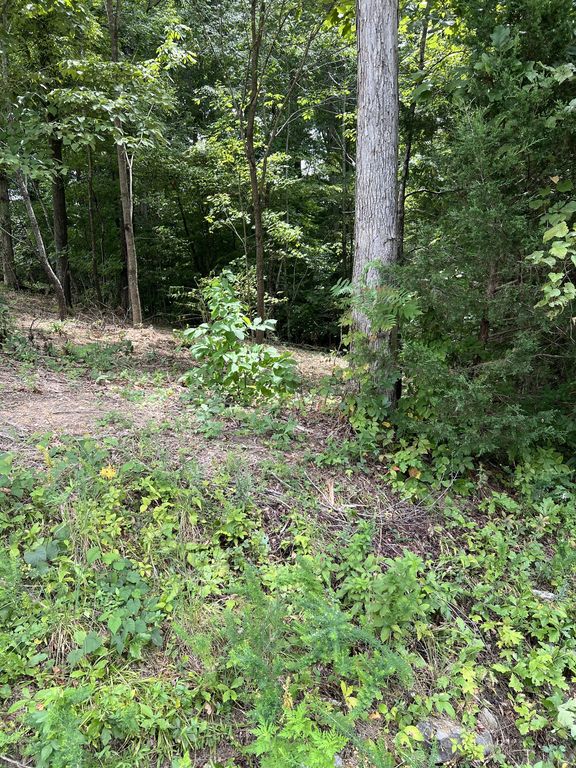 103 Kodiak Rd, White Bluff, TN 37187 MLS 2542893 Trulia