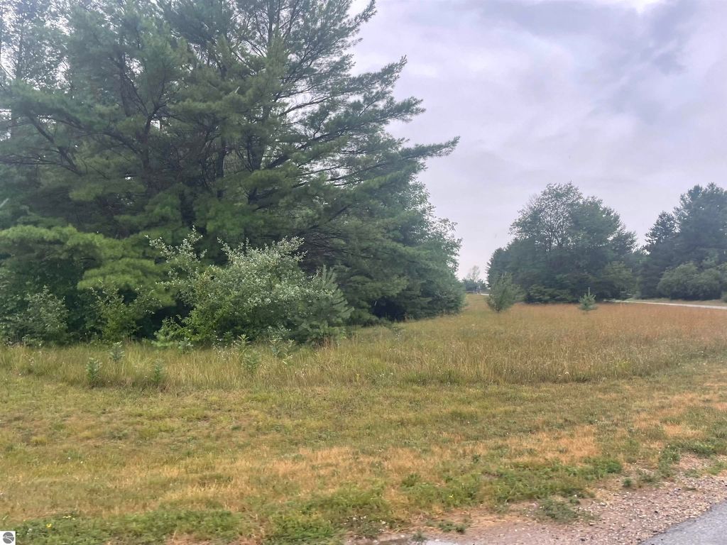 Stocking Dr, Williamsburg, MI 49690 Trulia