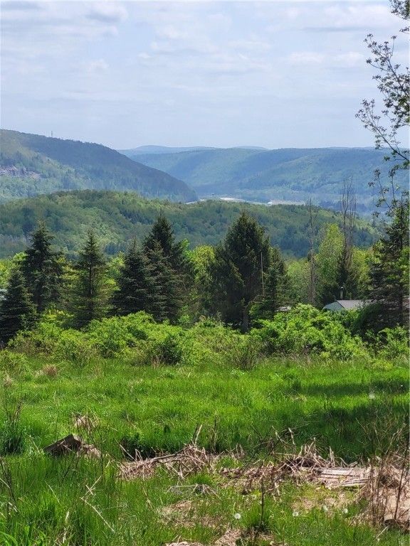 186 Cheese Factory Rd, Deposit, NY 13754 MLS OD137689 Trulia