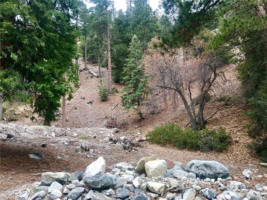 Forest Falls, CA Trulia