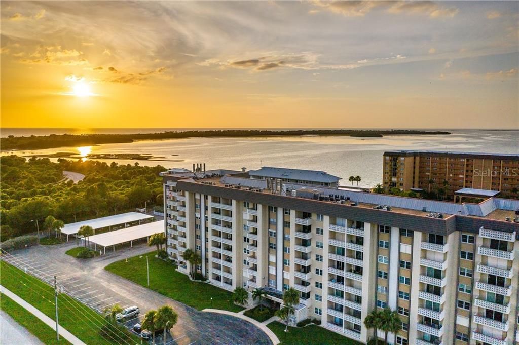 9 Forbes Pl 612, Dunedin, FL 34698 Trulia