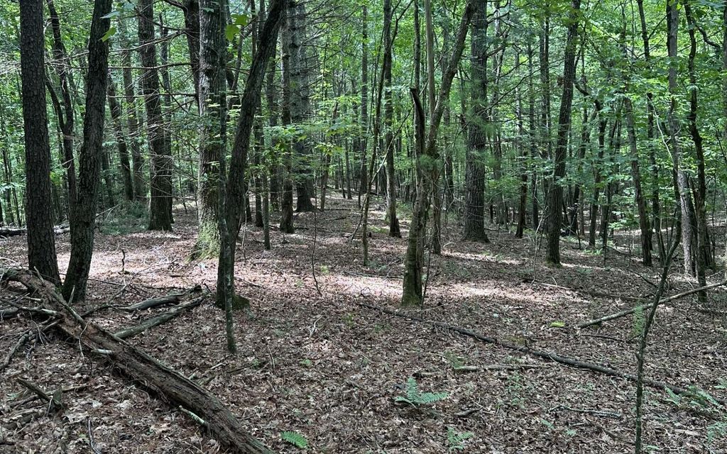 29 Iron Gate, Blairsville, GA 30512 Trulia