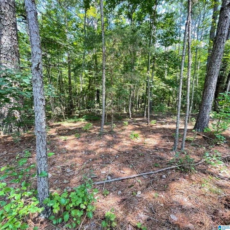 County Road 100 0, Lineville, AL 36266 Trulia