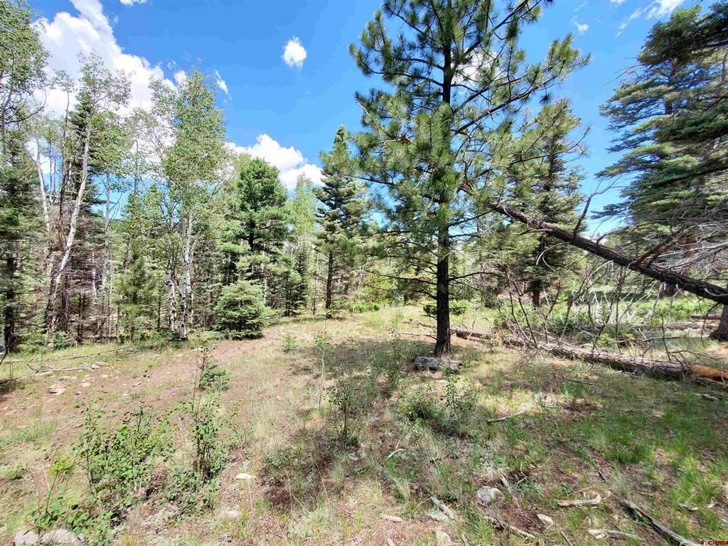 Lot13A Rito Hondo Ct, Antonito, CO 81120 MLS 795443 Trulia