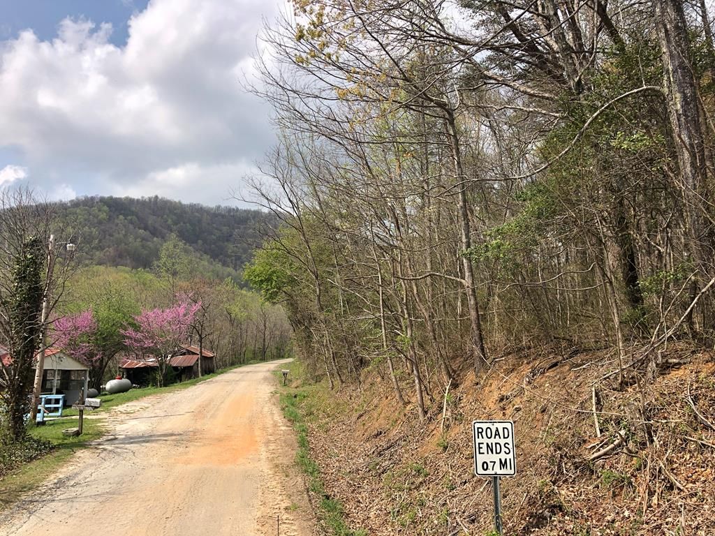 Raven Rock Rd, Ararat, VA 24053 MLS 86134 Trulia
