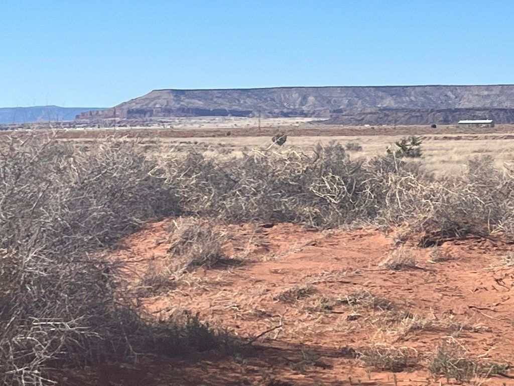 Highland Mdws 1, Laguna, NM 87026 Trulia