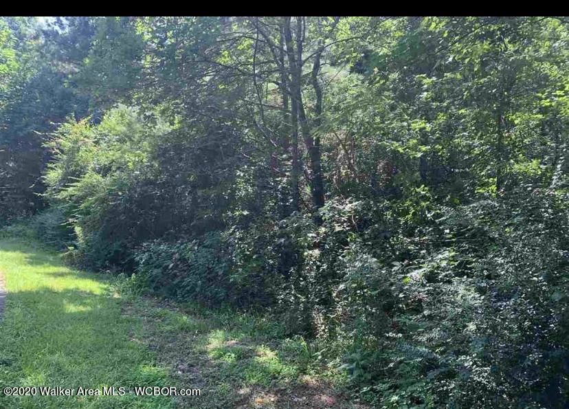 Hayfield Loop, Sumiton, AL 35148 Trulia