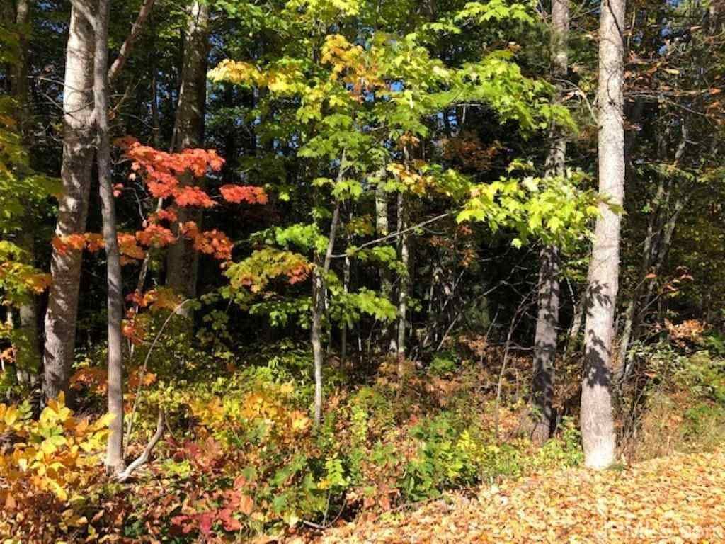 Whitefish, Deerton, MI 49822 Trulia