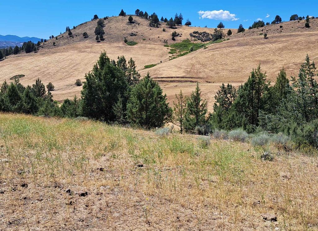 Lot 170 Lake Cove Rd, Hornbrook, CA 96044 MLS 20230728 Trulia