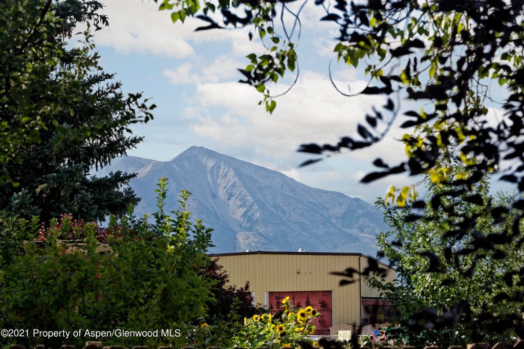 1076 Wheel Dr, Carbondale, CO 81623