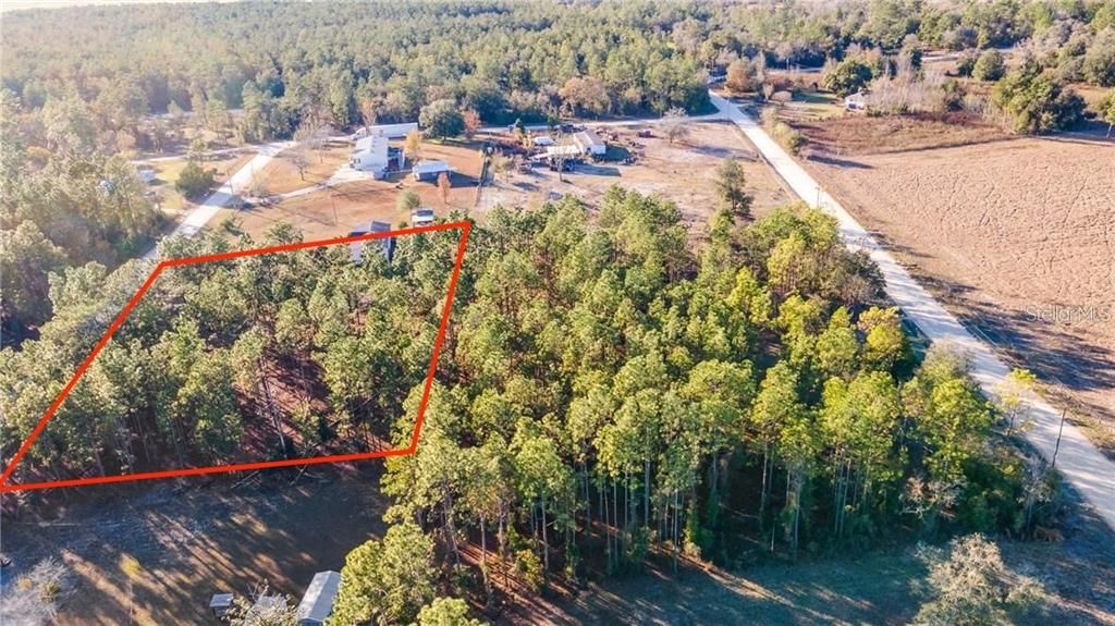 NE 9th St 9, Williston, FL 32696 Trulia