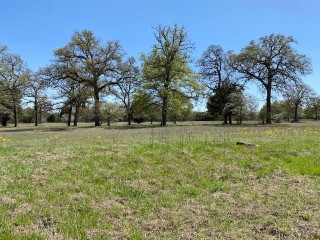 County road 1119, Athens, TX 75751