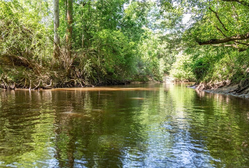 5698/ACRE S County Road 682, Coffee Springs, AL 36318 Trulia