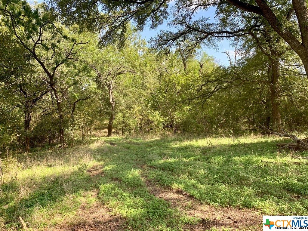 Boggy Creek Rd 10, Lockhart, TX 78644 Trulia