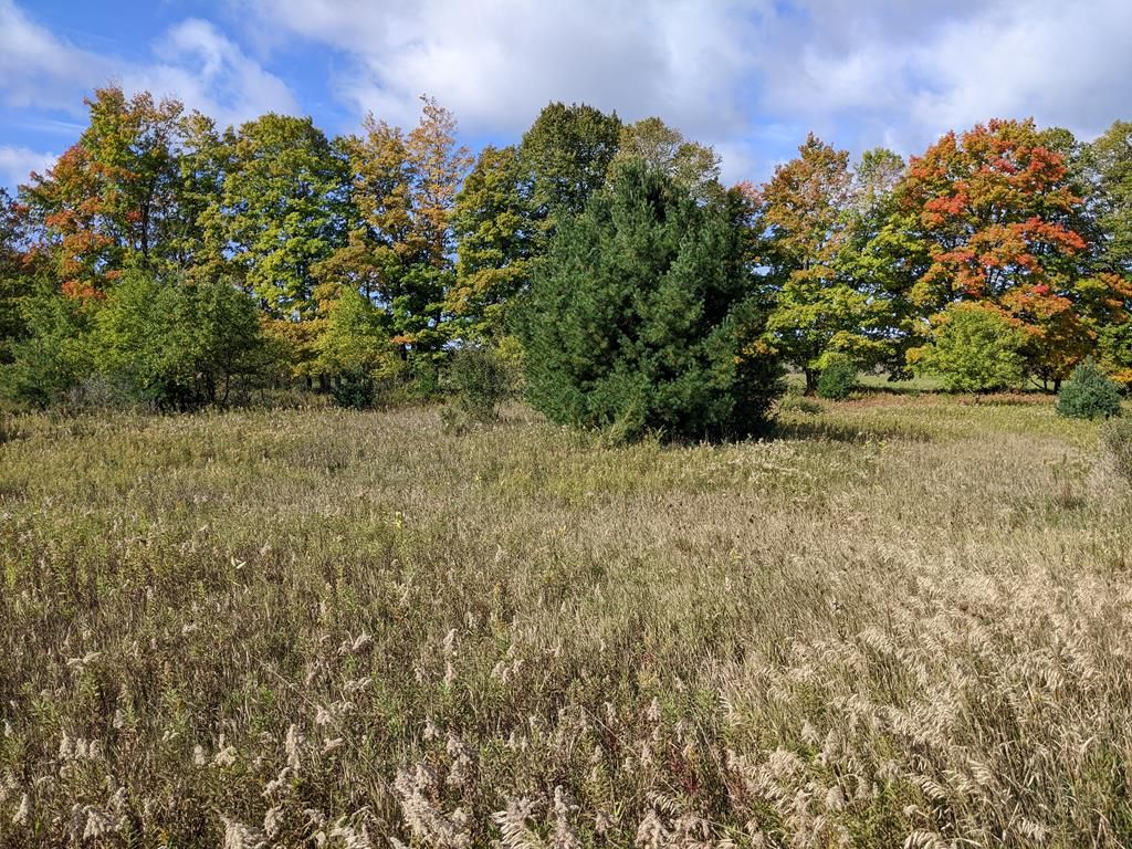 N/a Wild Nest Rd, Fish Creek, WI 54212 Trulia