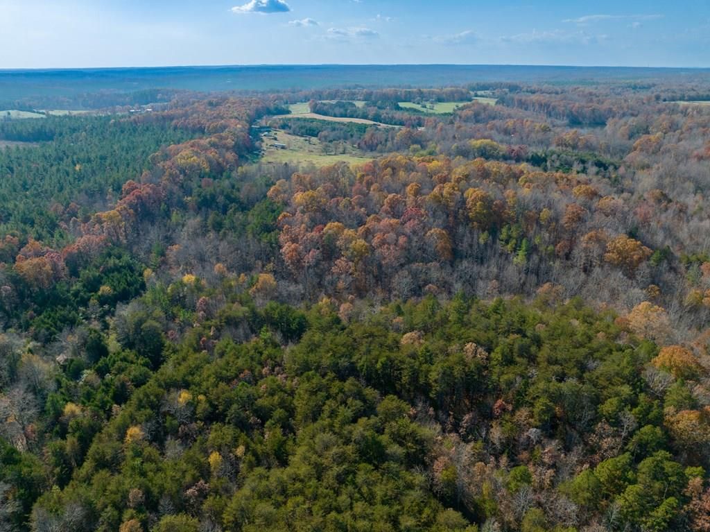 Hardtimes Rd, Prospect, VA 23960 MLS 52023 Trulia