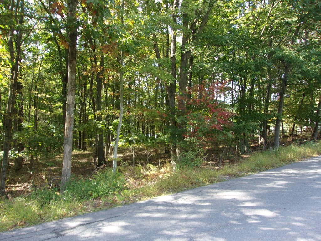 169 Broadview Dr, Jim Thorpe, PA 18229 Trulia