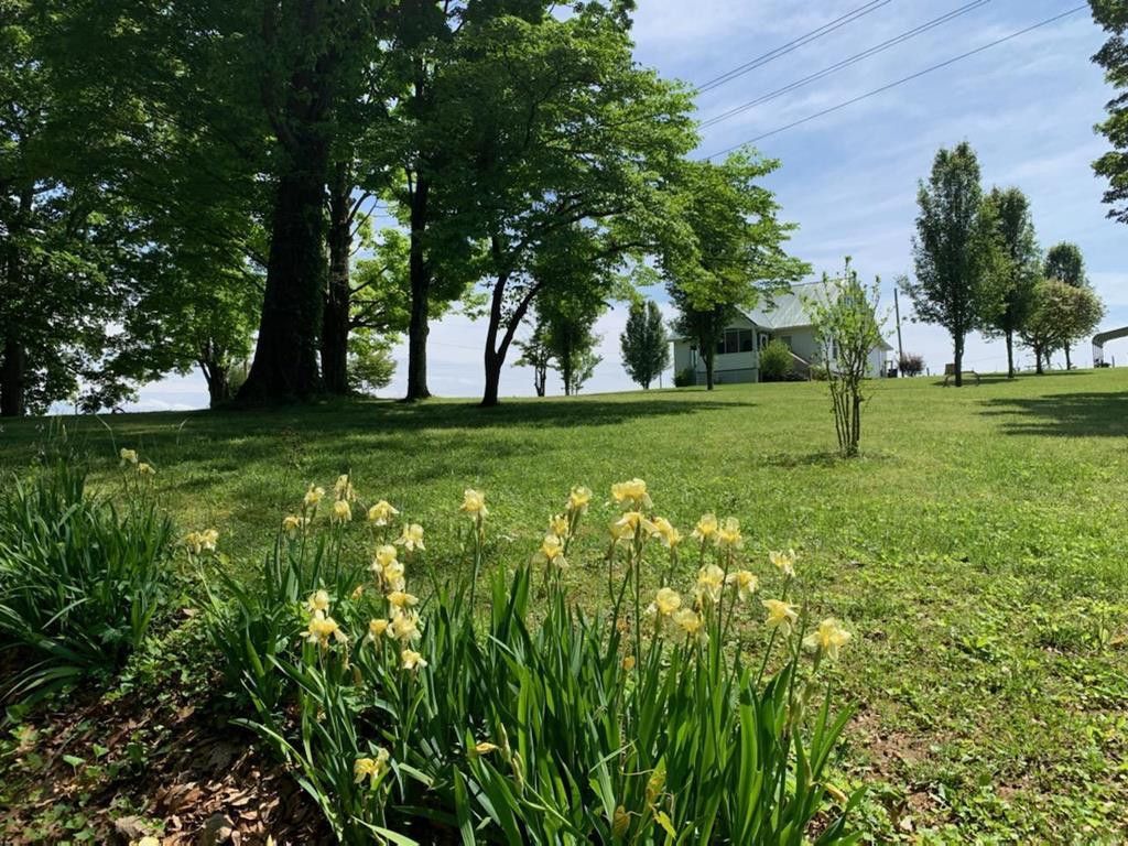 1597 Talbott Kansas Rd, Talbott, TN 37877 Trulia