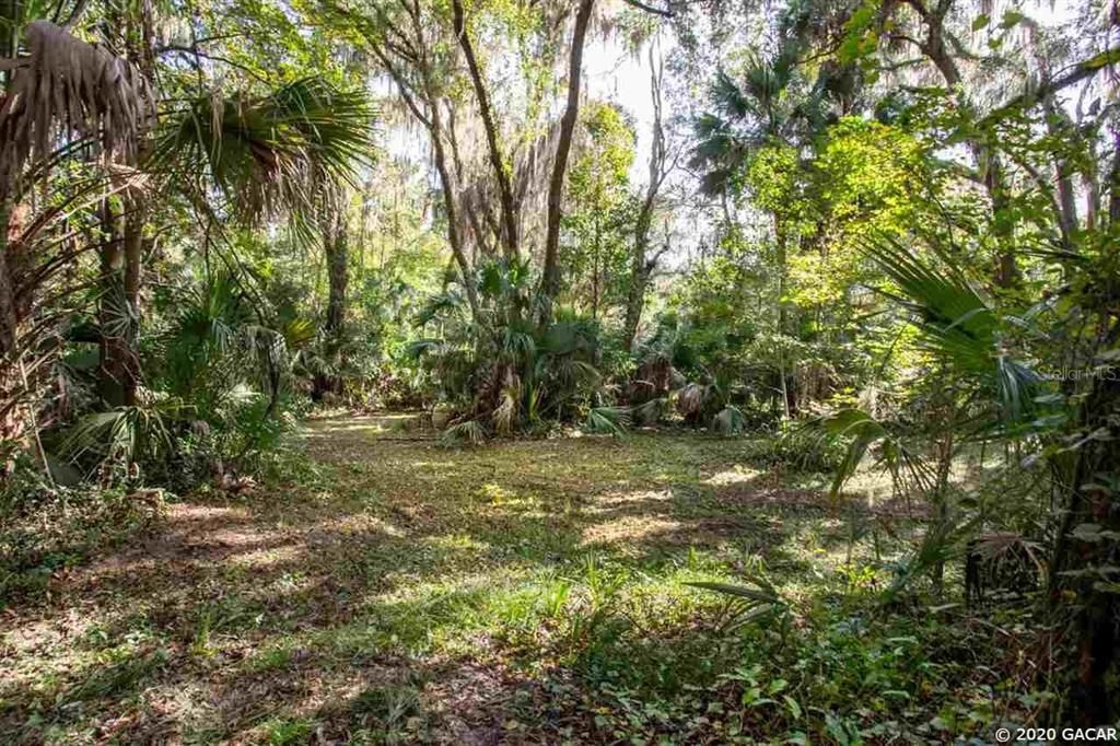 SE Wacahoota Rd 0, Micanopy, FL 32667 Trulia