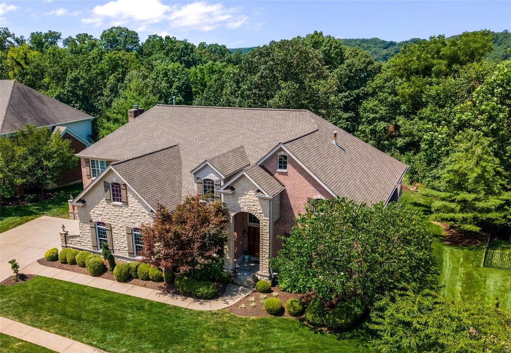 16842 Eagle Bluff Ct, Chesterfield, MO 63005
