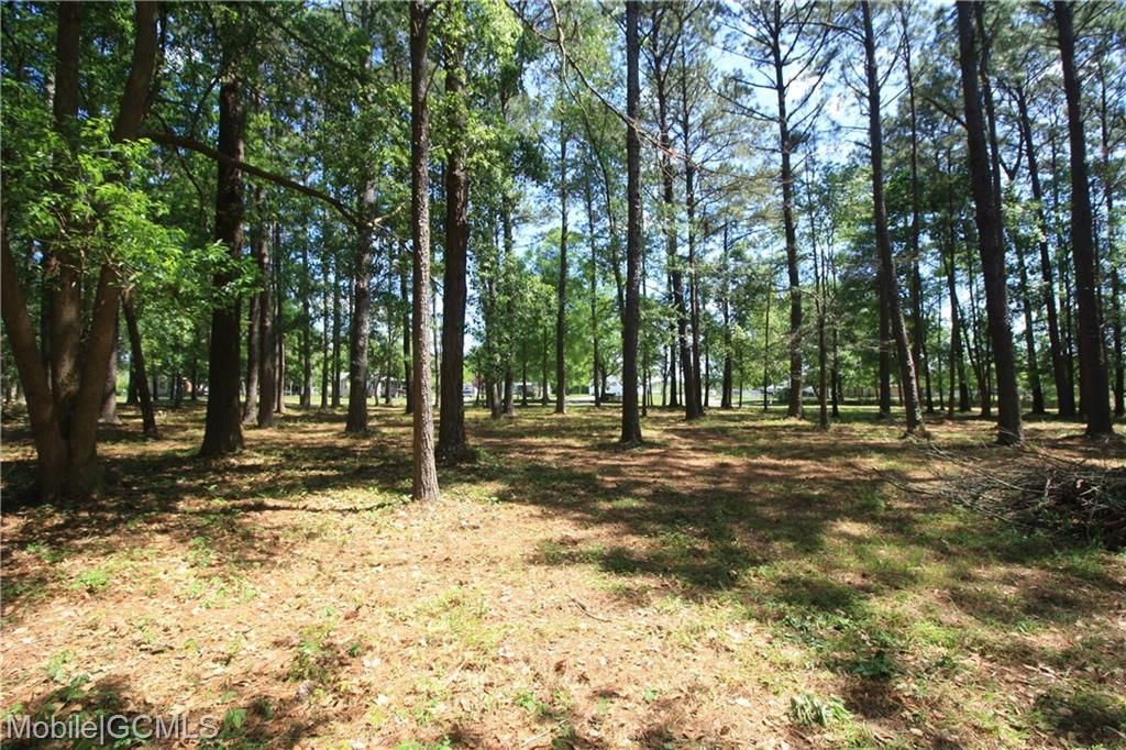 Douglas Rd 5, Grand Bay, AL 36541 Trulia