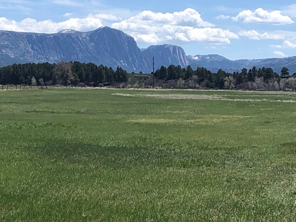 Los Ojos, Los Ojos, NM 87551