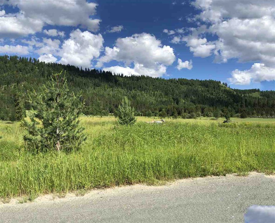 Larch Ln 45, Cusick, WA 99119 Trulia