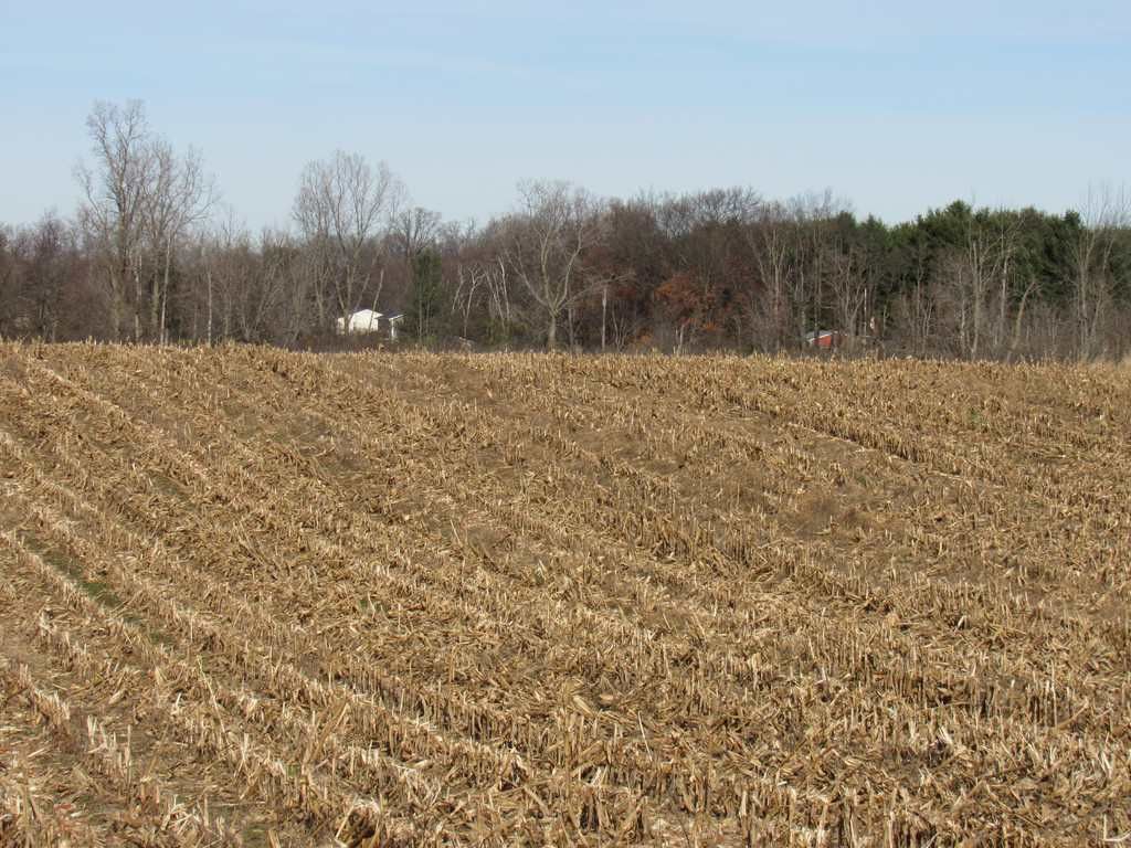 Rives Junction Rd, Jackson, MI 49201 Trulia