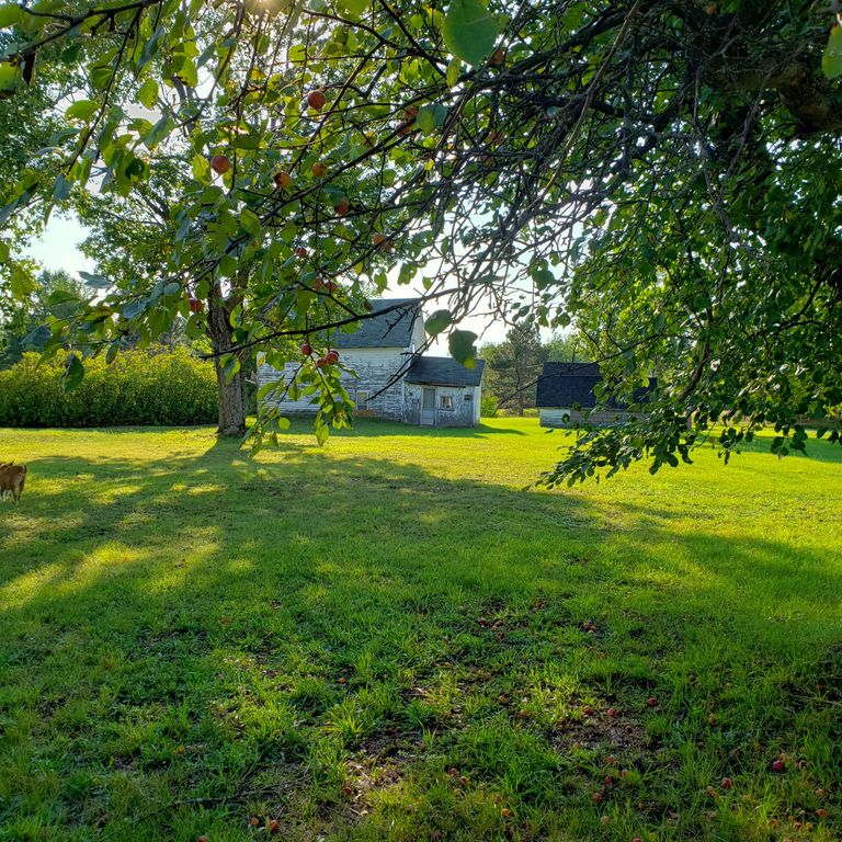 15790 S Kinross Rd, Kinross, MI 49752