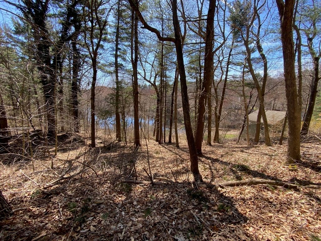 73 Leland Rd, Norfolk, MA 02056 MLS 73240466 Trulia