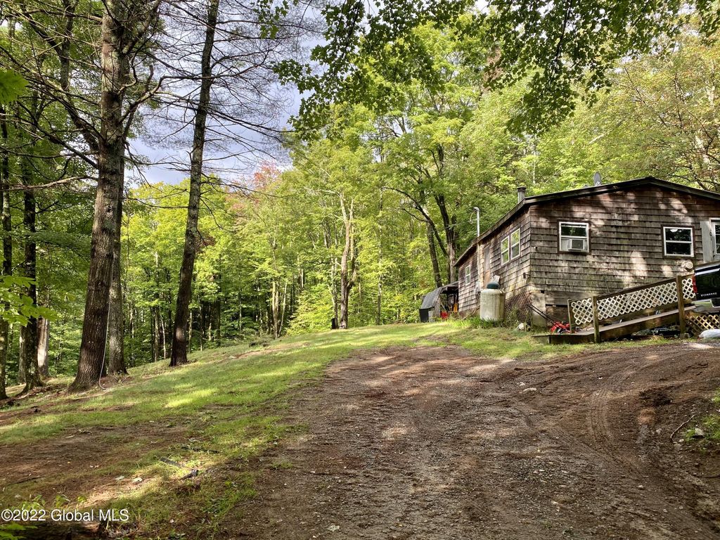 101 Padanarum Road, Brant Lake, NY 12815 Trulia