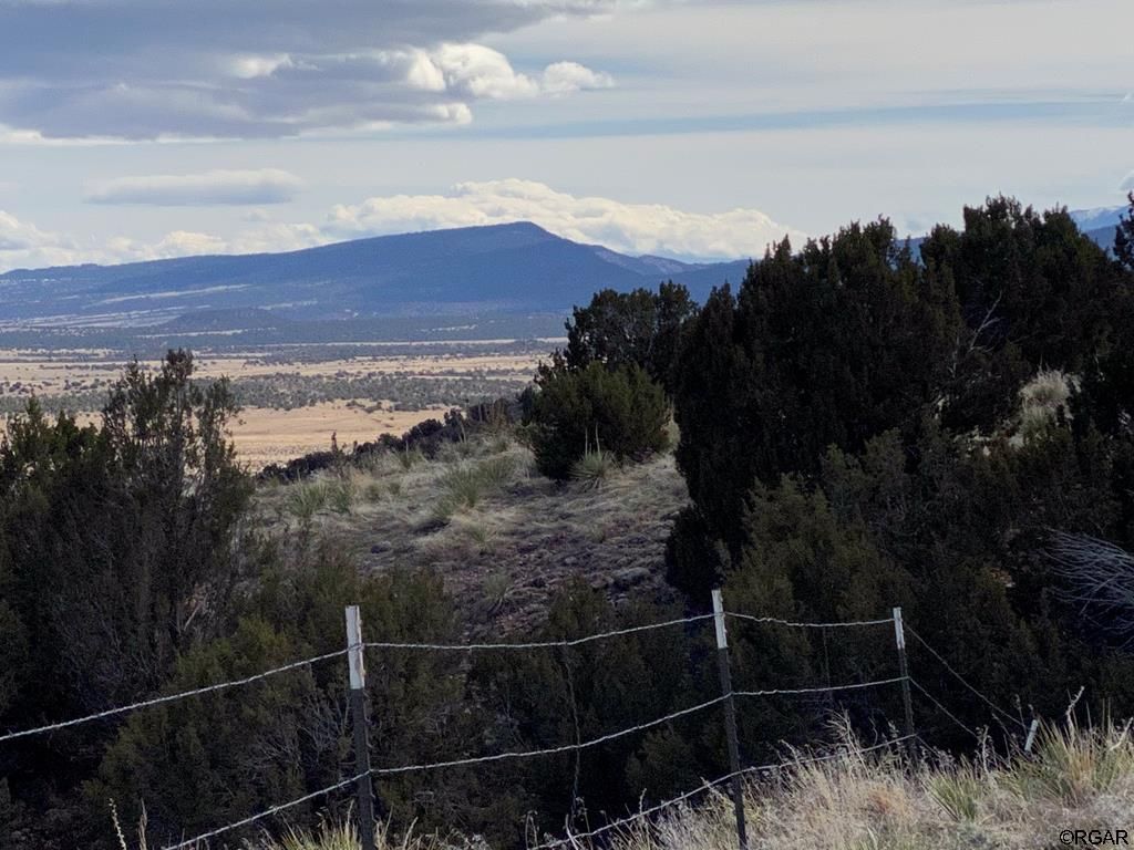 homes for sale in florence co