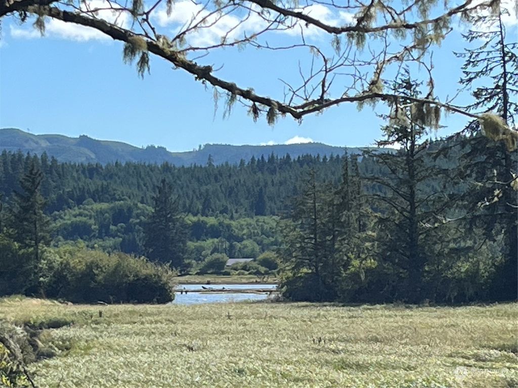 7 xx Holm Lane, Naselle, WA 98638 MLS 2132887 Trulia