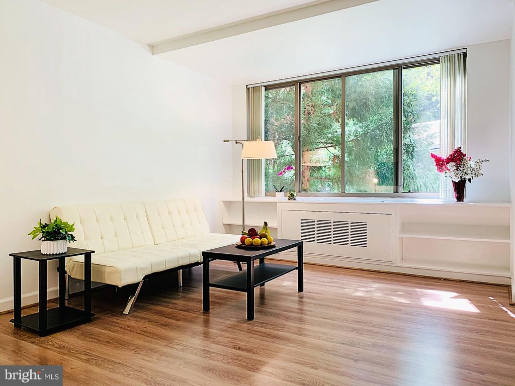 1121 Arlington Blvd #245, Arlington, VA 22209