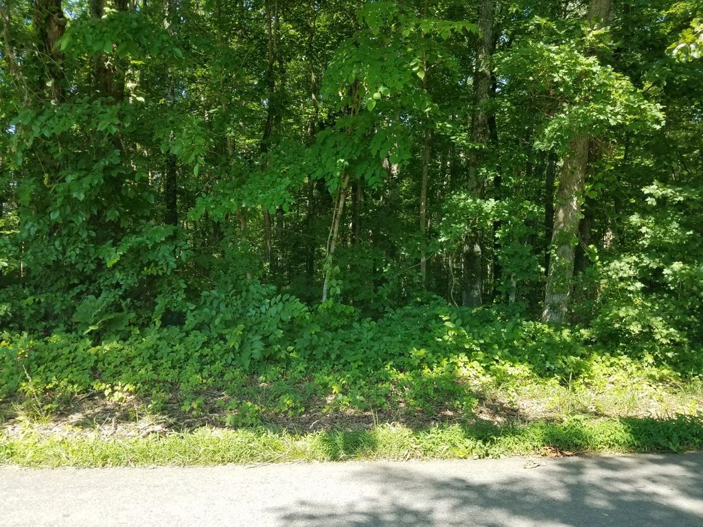 Pinewood Rd, Fairview, TN 37062 - Lot/Land - MLS# 2060897 - 4 Photos