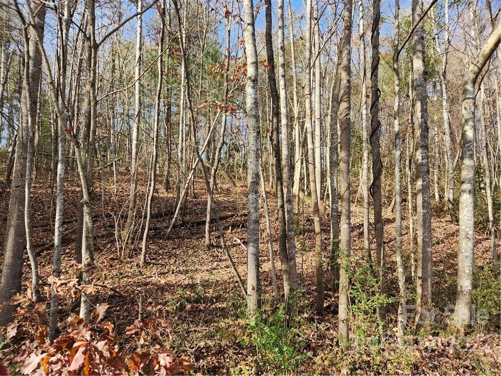 Dudley Shoals Rd, Granite Falls, NC 28630 Trulia